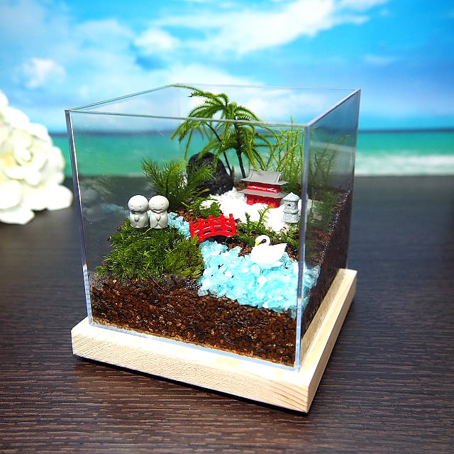 苔寺【苔テラリウム・手作りキット一式】キューブ型 | 工房・津軽moss
