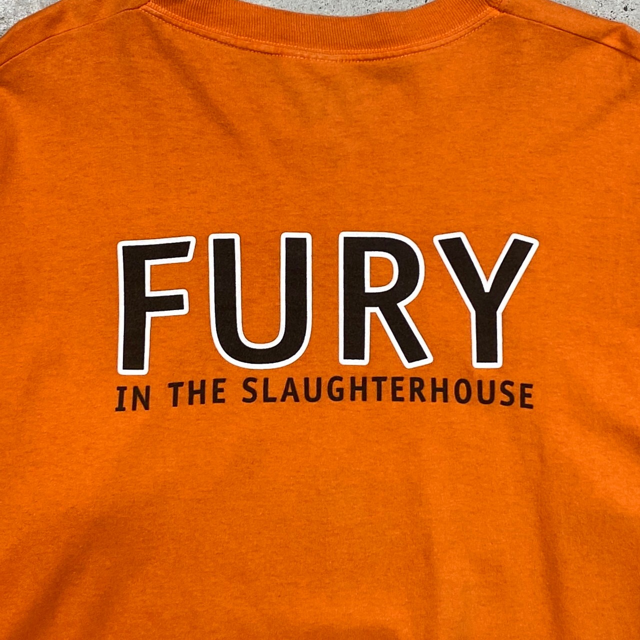 00年代 FURY IN THE SLAUGHTERHOUSE The Color Fury バンドTシャツ 