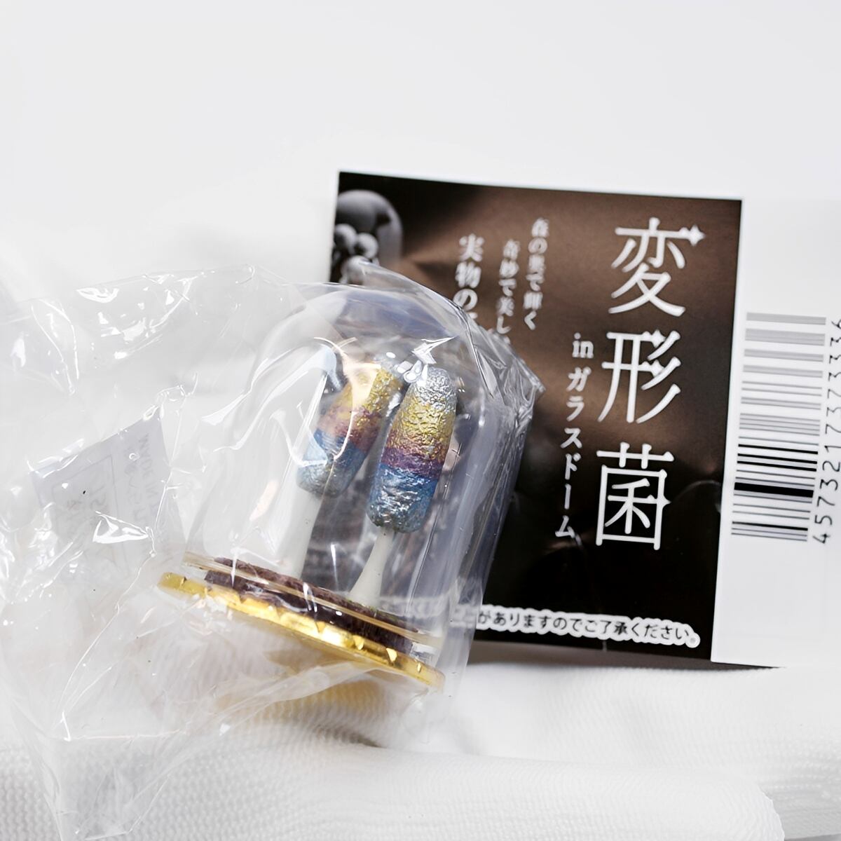 フルコンプ】 変形菌inガラスドーム 【全5種セット】 レインボー Slime
