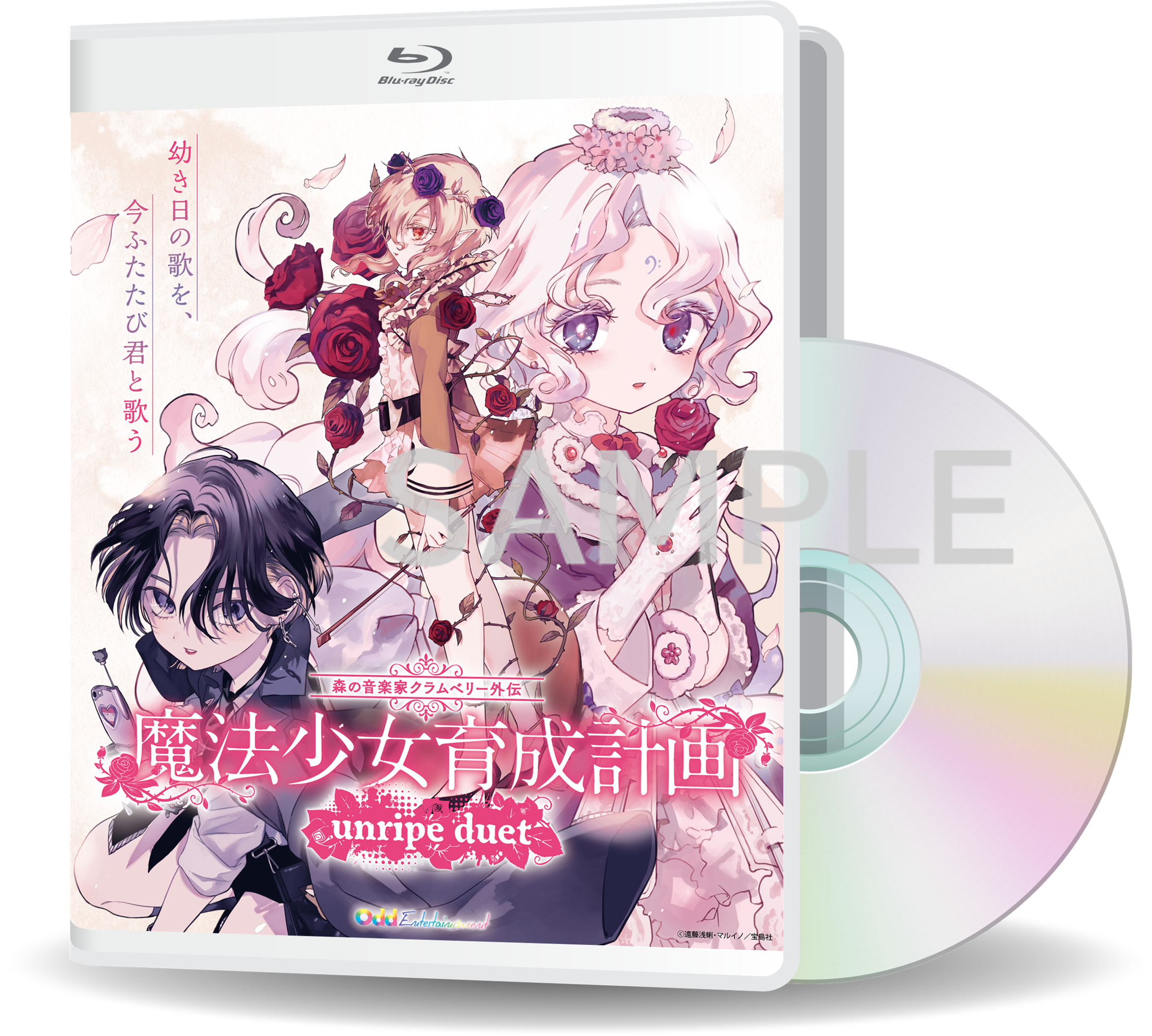 魔法少女育成計画 缶バセット 魔法少女育成計画 缶バセット 魔法少女育成計画 缶バセット