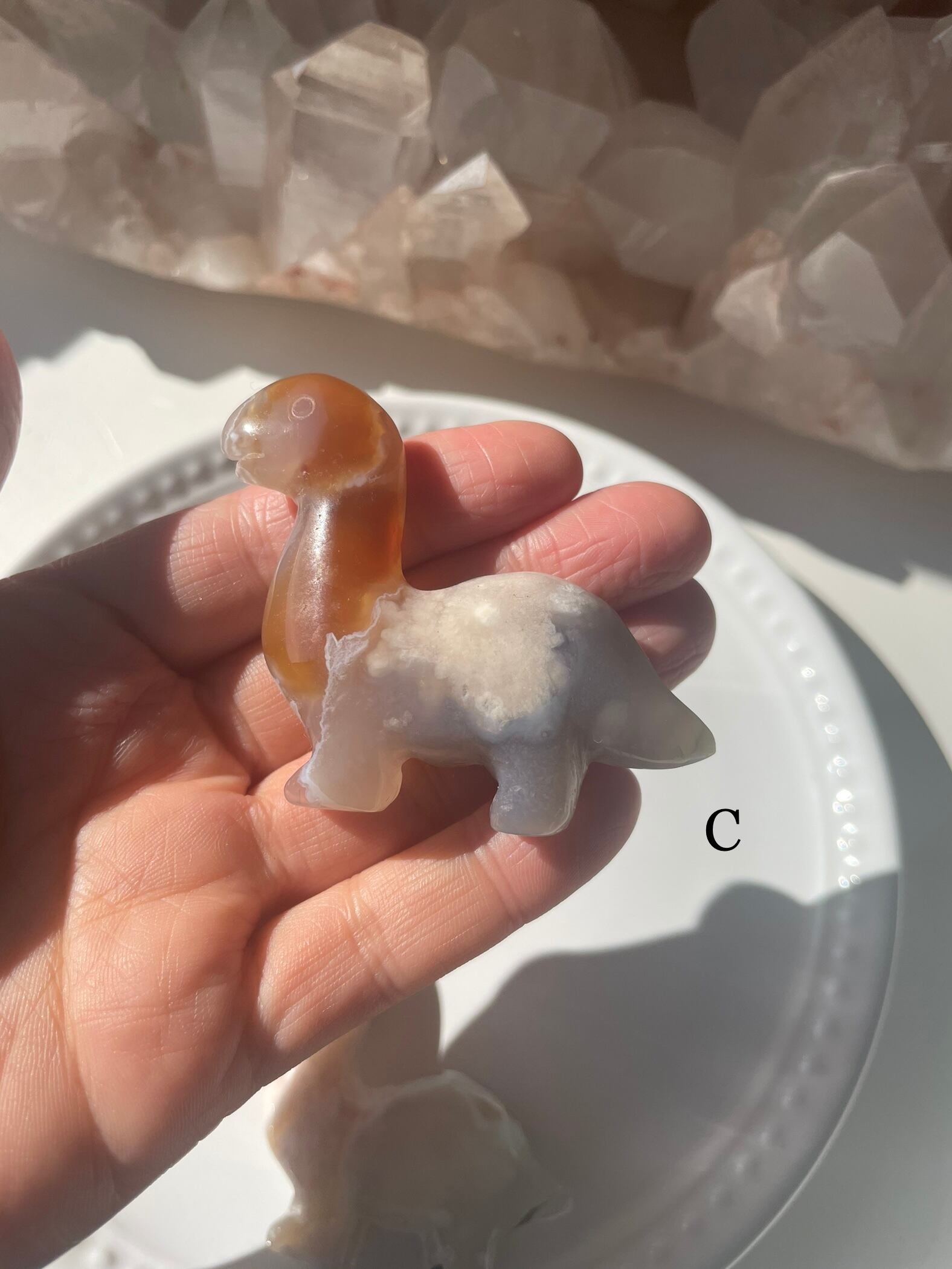 Flower Agate Dinosaur/ フラワーアゲート　恐竜
