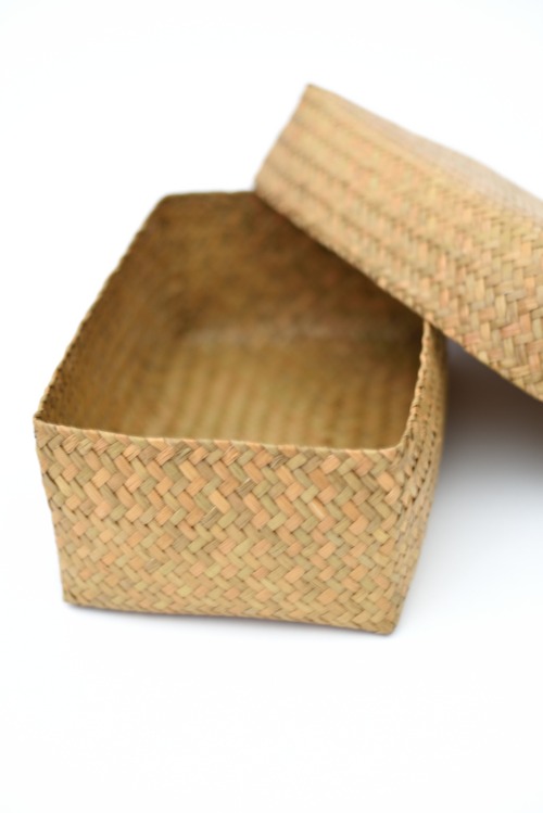 カチュー水草　ふた付き大きな四角BOX　L