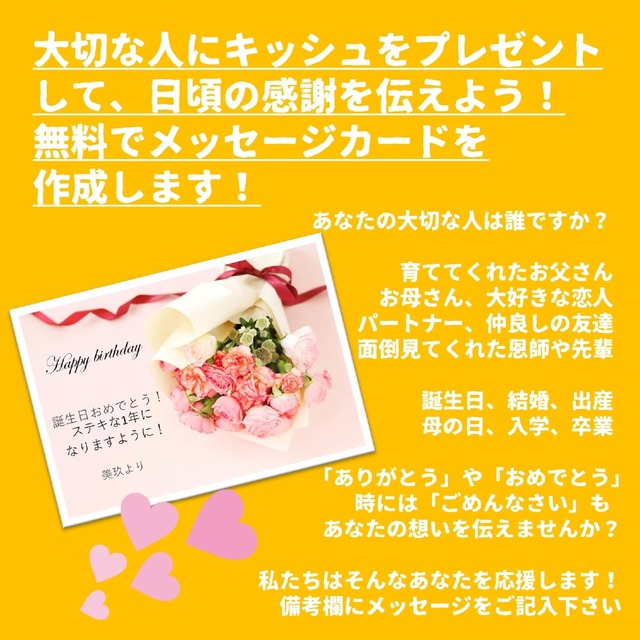 スモークサーモンとブロッコリーのマカロニグラタン風贅沢キッシュ 18 ホール 3 4人前 寒い夜 ほっこりしたい時に 具沢山キッシュ 美肌豆腐スイーツ専門 トライシクルカフェ