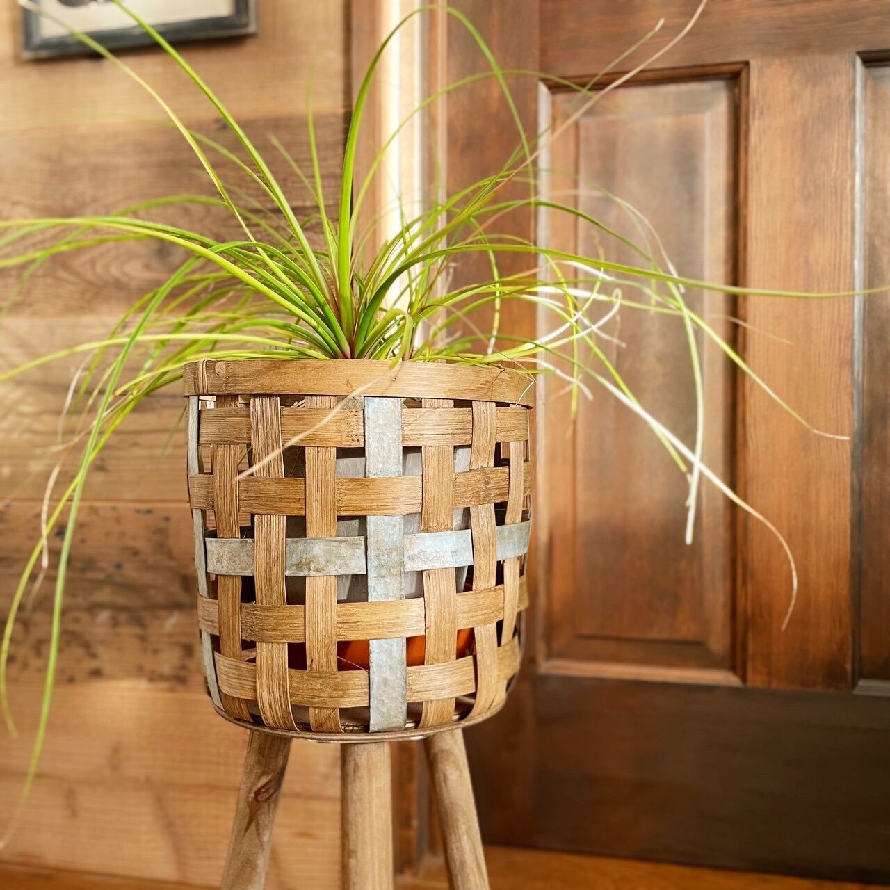 【期間限定送料無料】 鉢植え入れ カゴ スタンド