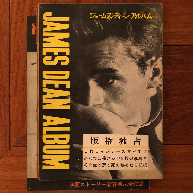 ジェームズ ディーン アルバム 映画ストーリー付録 正続2冊セット Flying Books