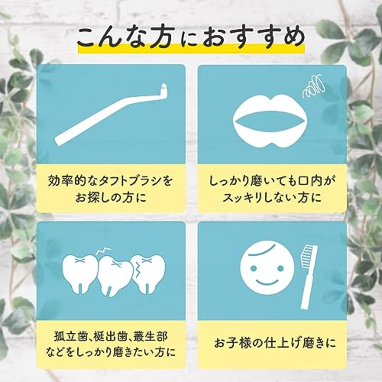 奇跡のオーラルケア 奇跡の歯ブラシ 黒 やわらかめ ワンタフトブラシ 3本 セット