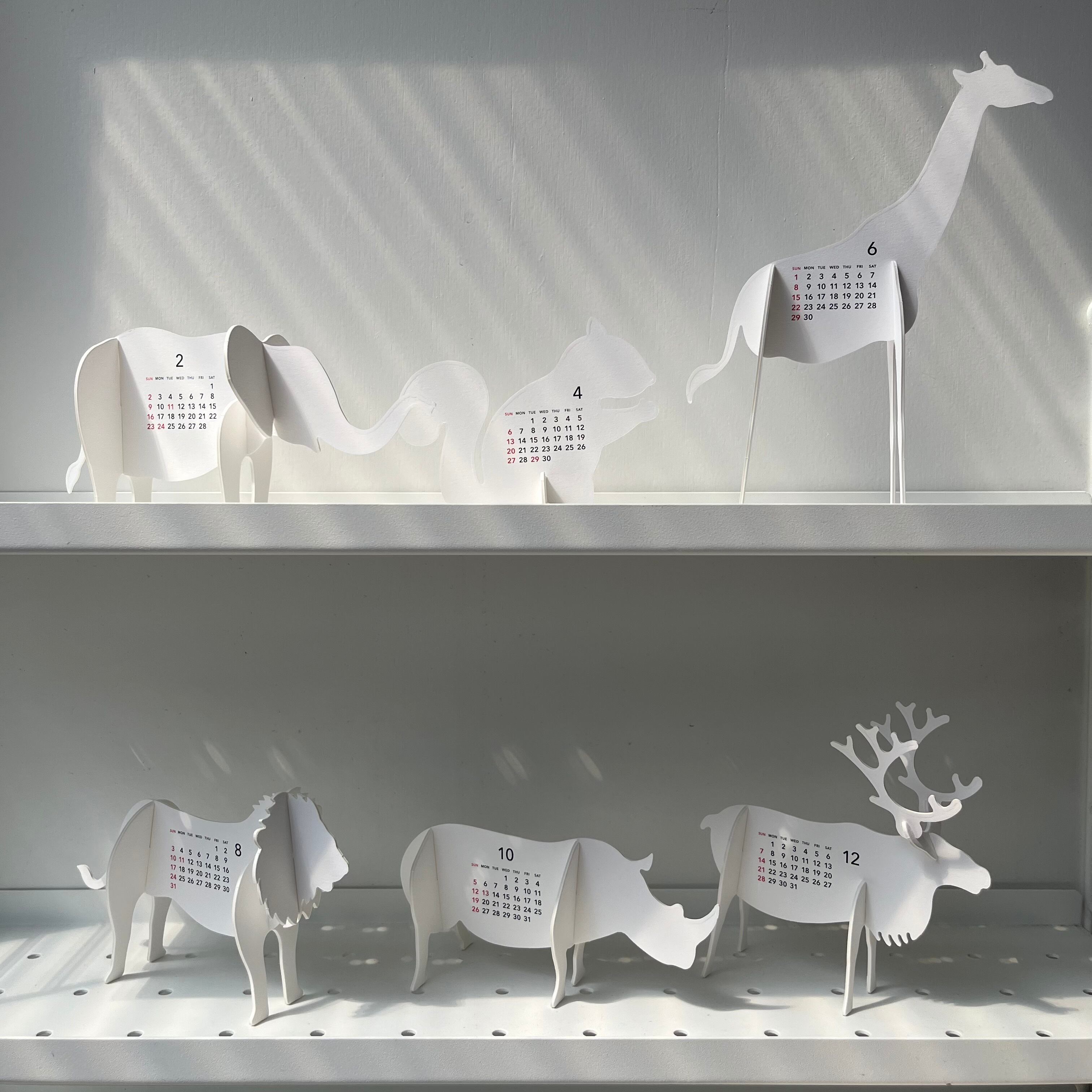 送料無料【good morning calendar 2025】ZOO グッドモーニング