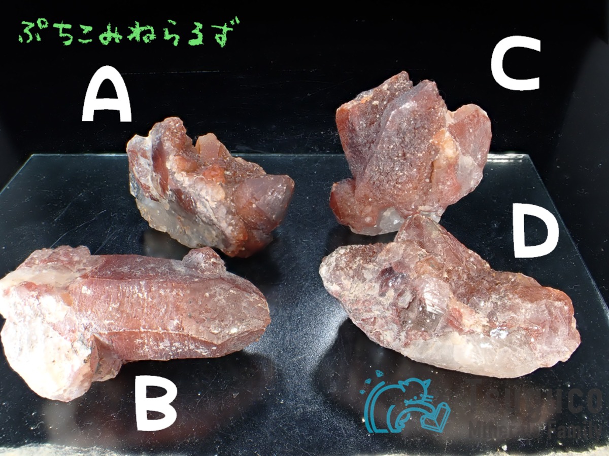 レッド・クォーツ 赤水晶 産地不明 PM-789 | PuchicoMinerals｜鉱物