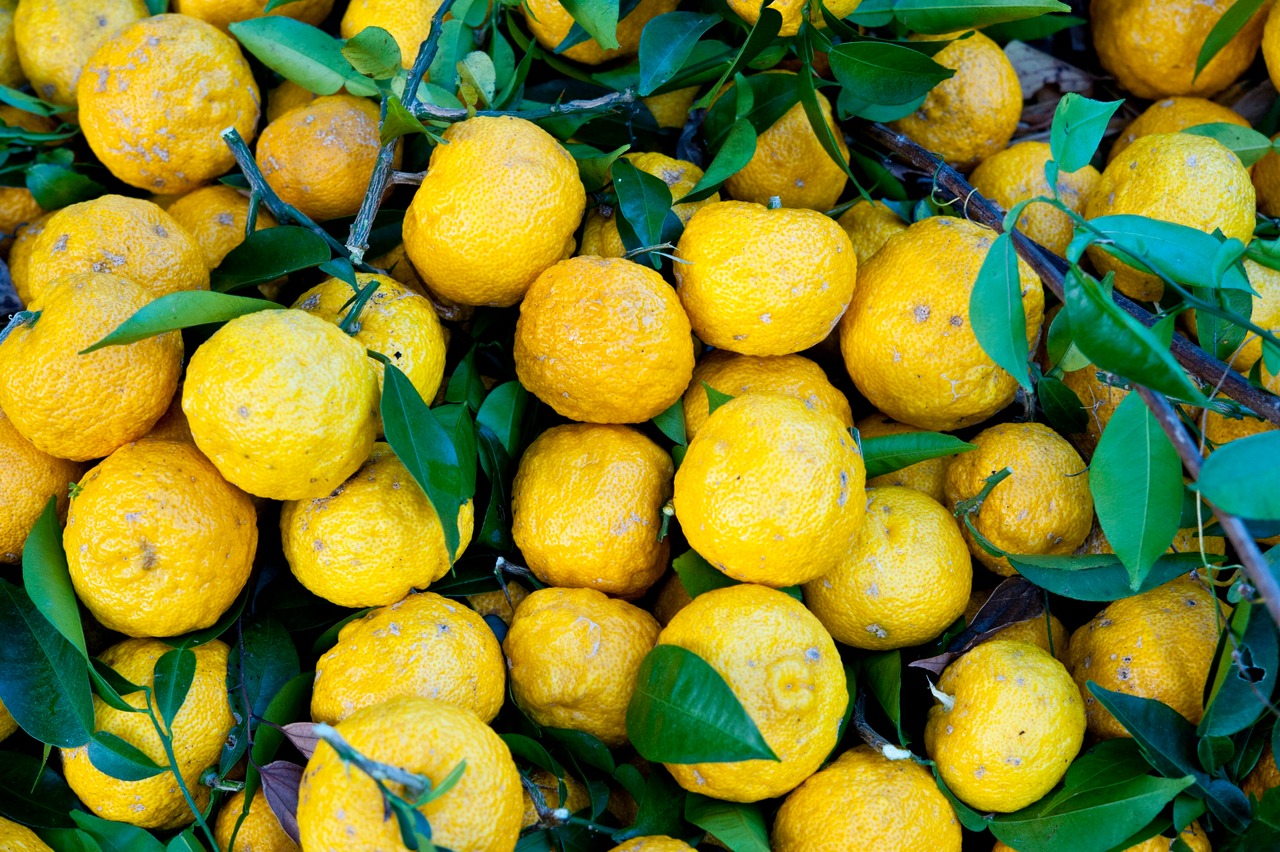 ≪ICA2022でシルバー受賞≫  ゆずコンフィ