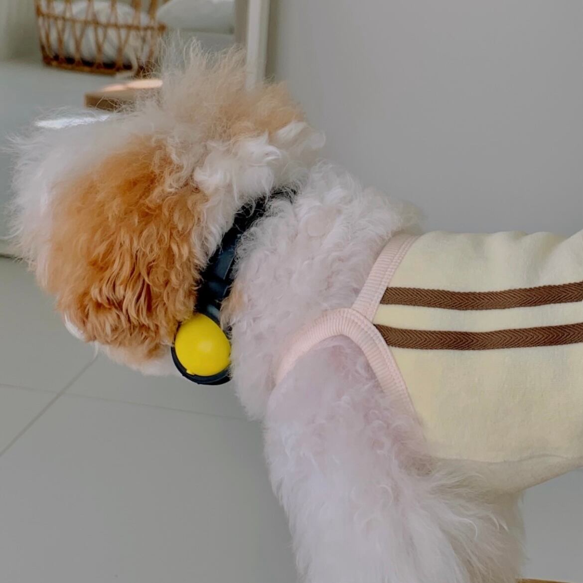 【seenii】Swing top （yellow）