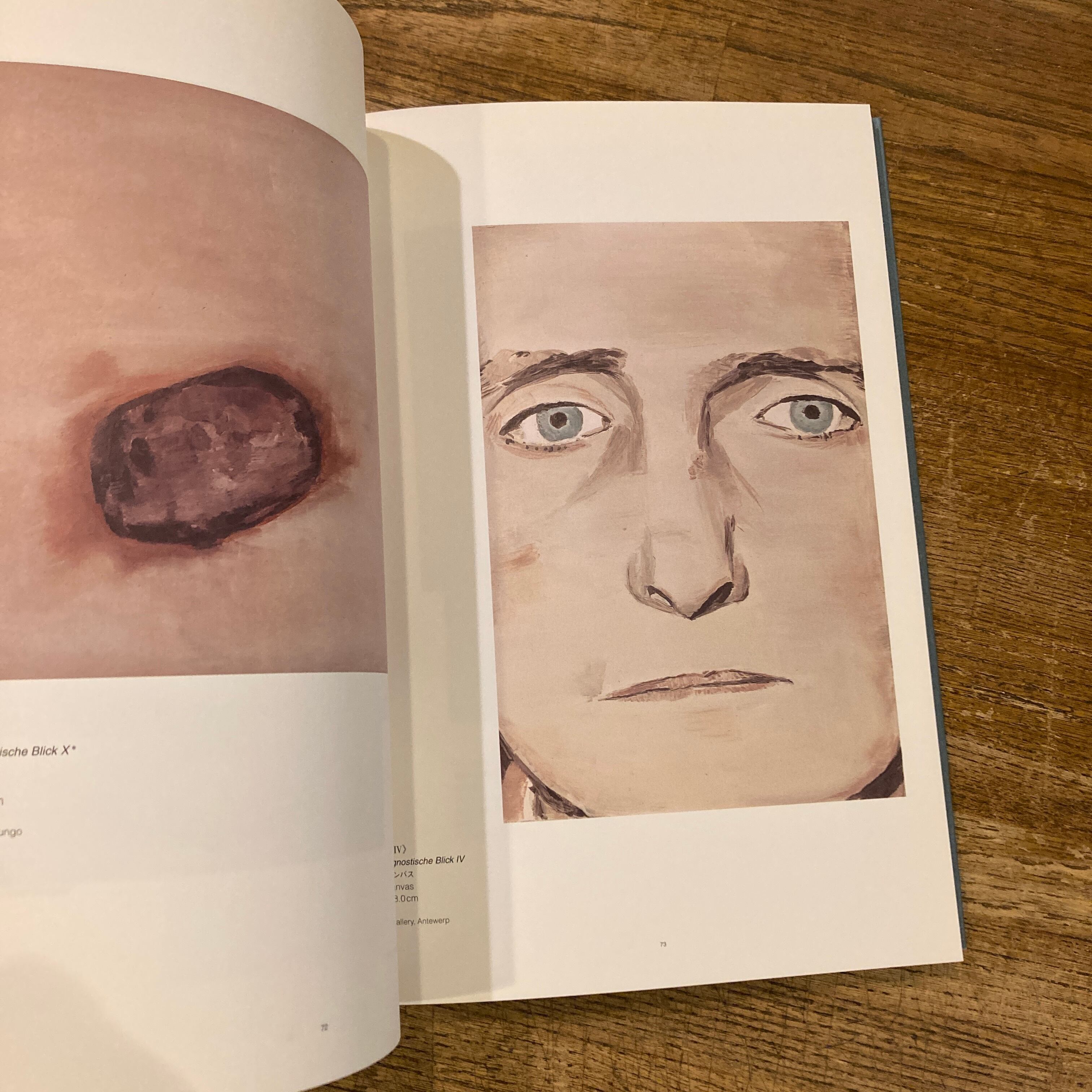 リュック・タイマンス展 Luc Tuymans Sincerely | 百年