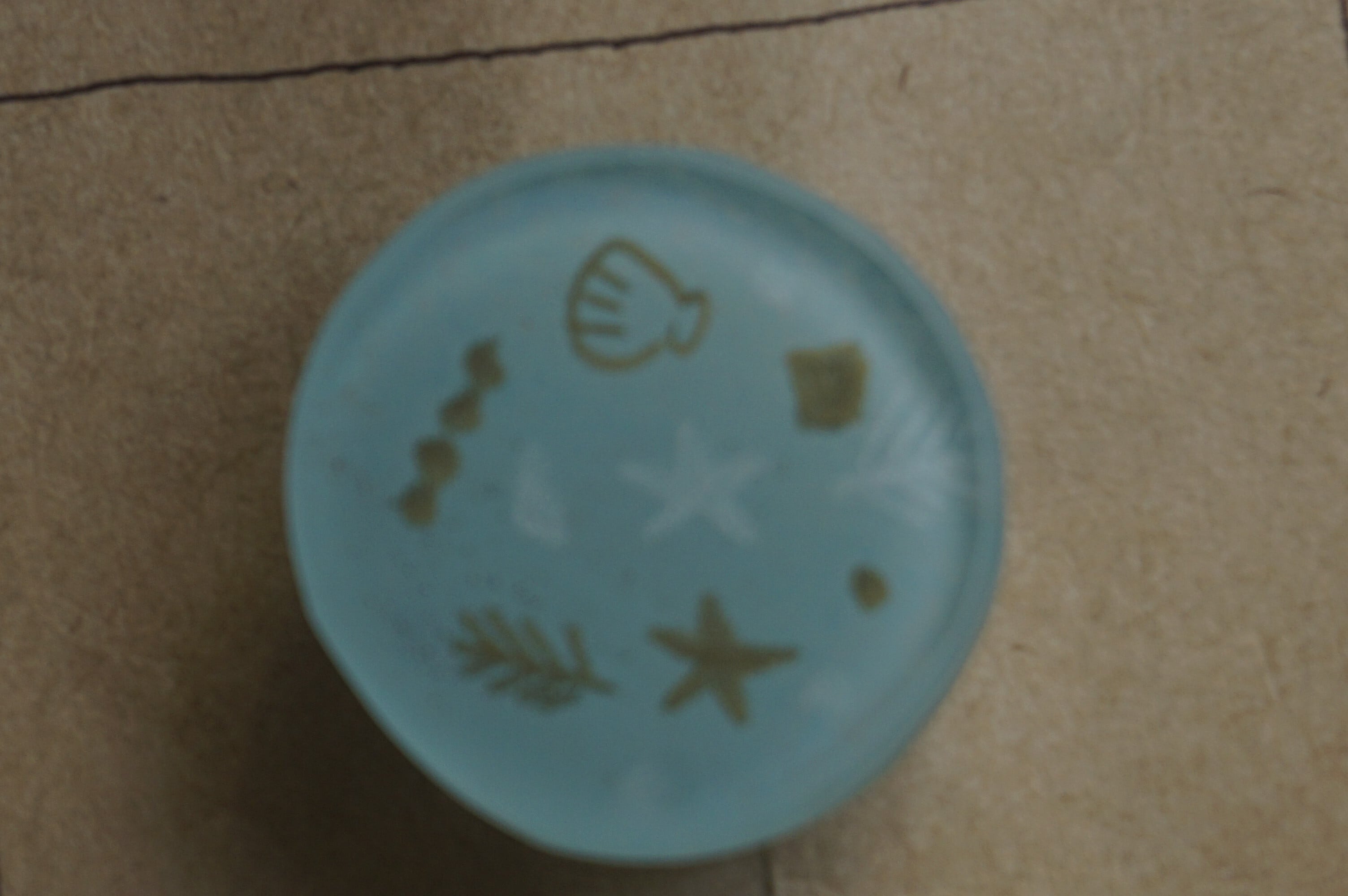 タカラモノ | proto器とタカラモノ