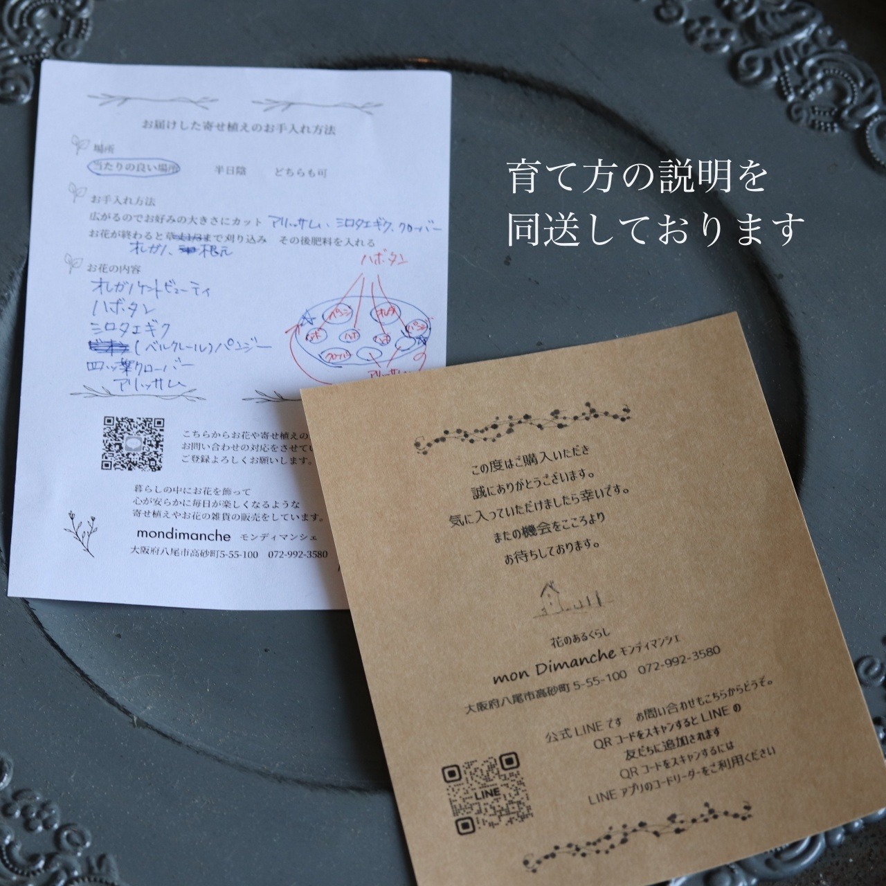 モンディマンシェ 母に贈る方寄せ植え（送料込み）　ベルチャームエレンのバスケット｜届いてすぐ飾れる完成品｜玄関インテリア｜母の日・新築・開店祝いギフト