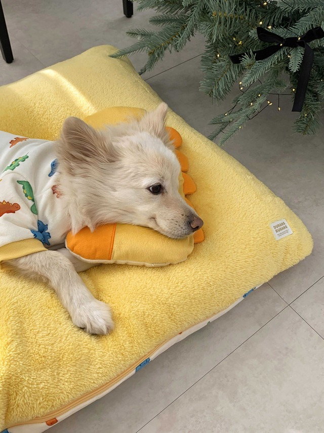 恐竜シリーズ(ピロー)