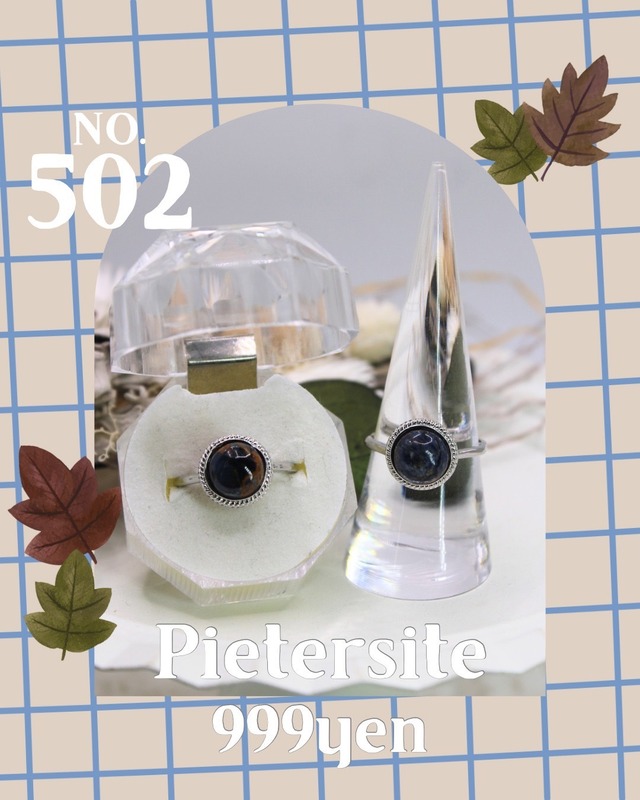502 ピーターサイトリング