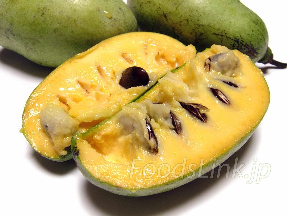 ポポ実ページ A must-see if you're growing pawpaws] We'll tell you everything