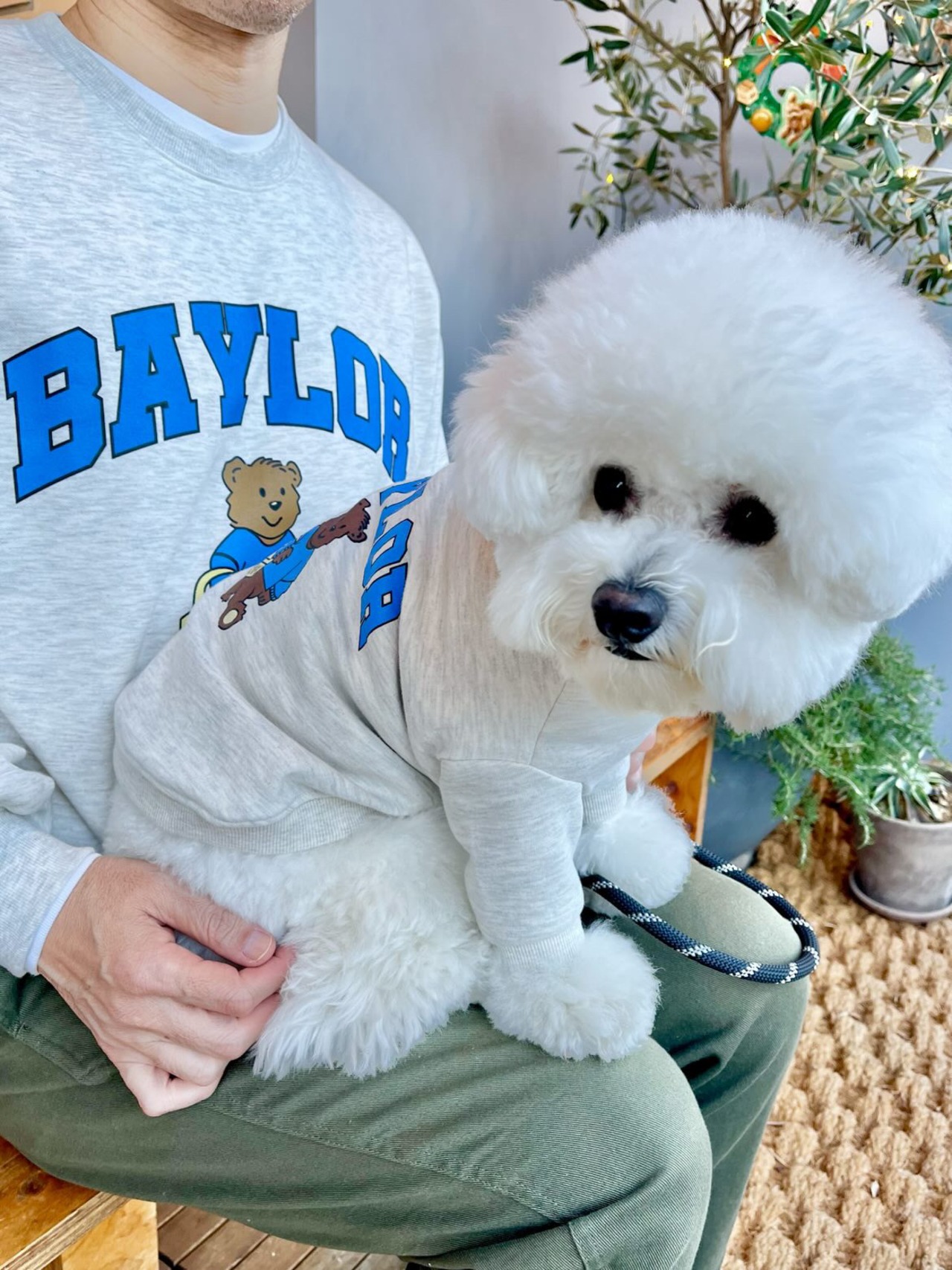 《Apple apple》BAYLORベアトレーナー(ご家族用)