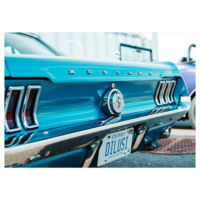 Mustang California