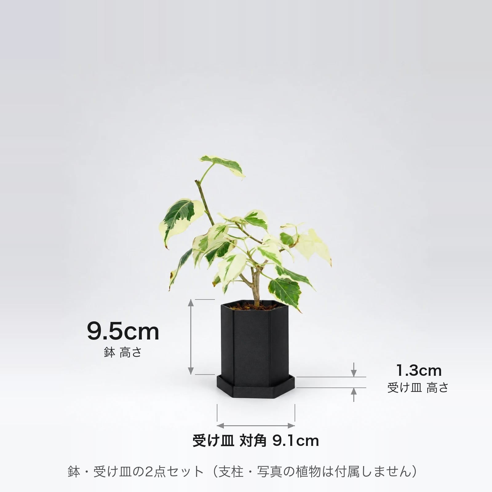 六角鉢＋受け皿 - 支柱の差込口付き3Dプリント鉢 - | ZUKE