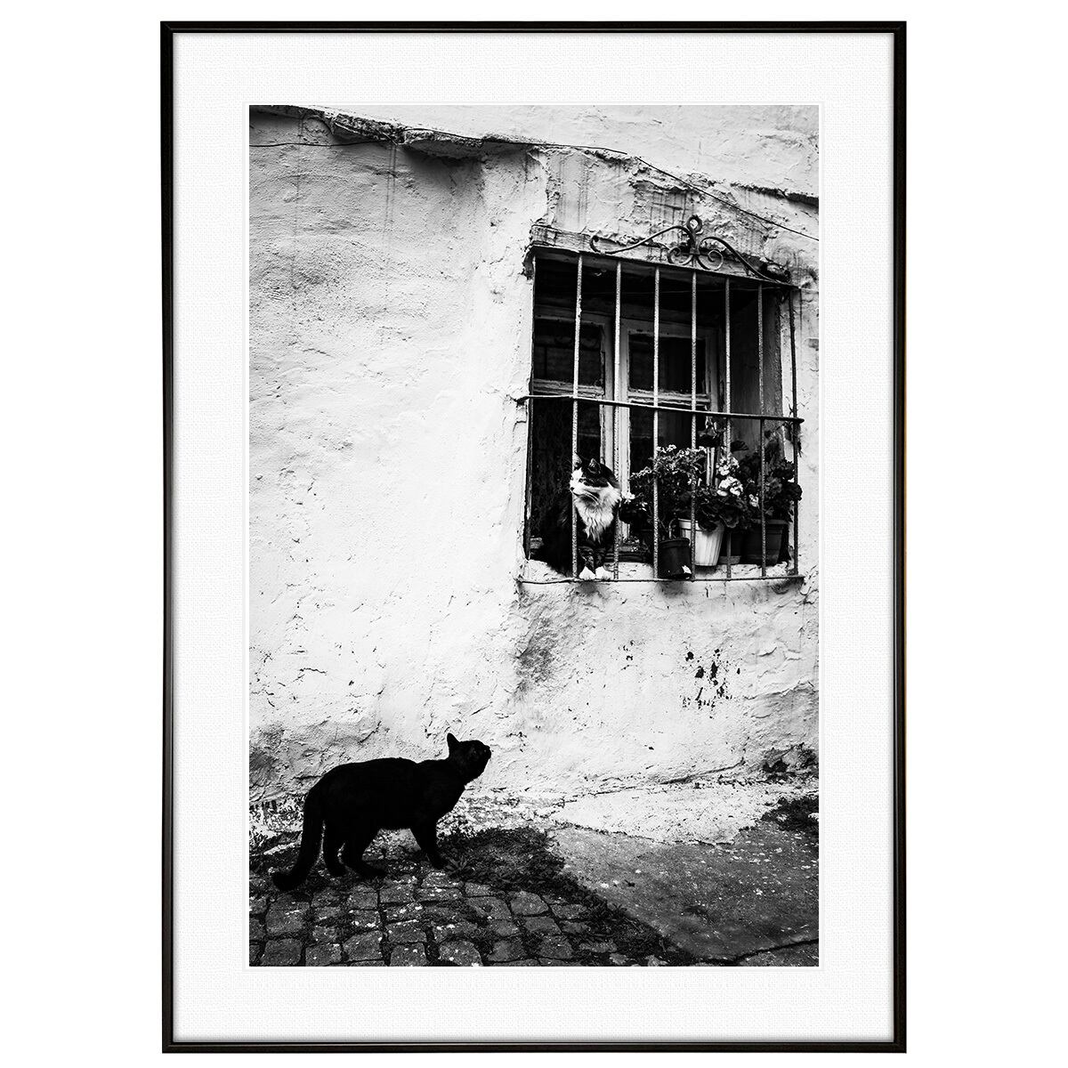動物写真 街中の猫 窓辺の出会い インテリア モノクロアートポスター額装 AS4728