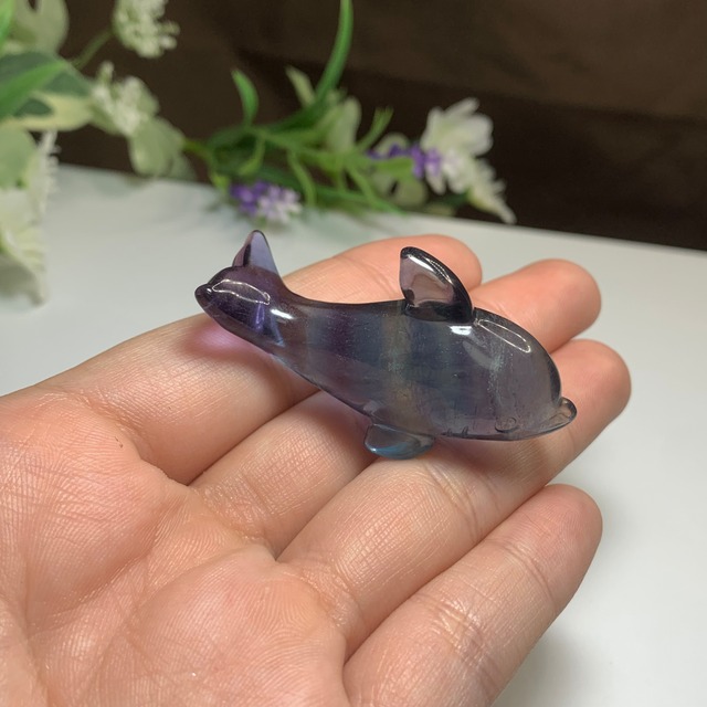 6.海のアニマル♪♪フローライトイルカ☆