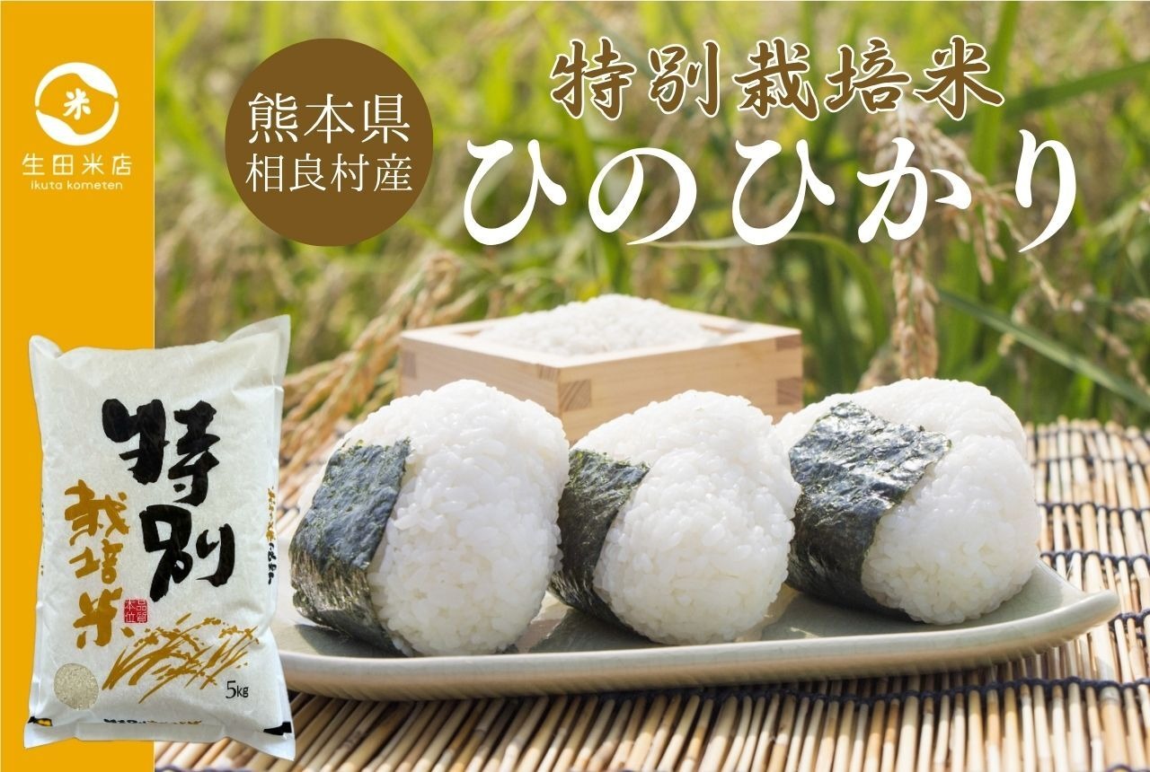 令和7年産新米　特別栽培米精白米ひのひかり5kg
