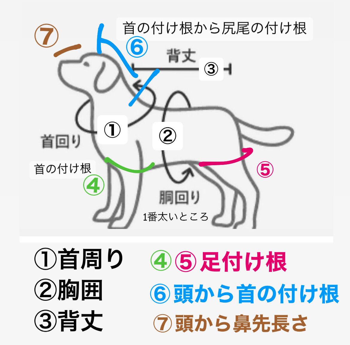 ⑨NC成犬 超小型犬〜小型犬 ラム 16kg❸ ⑨NC 成犬 超小型犬〜小型犬 ラム 16kg
