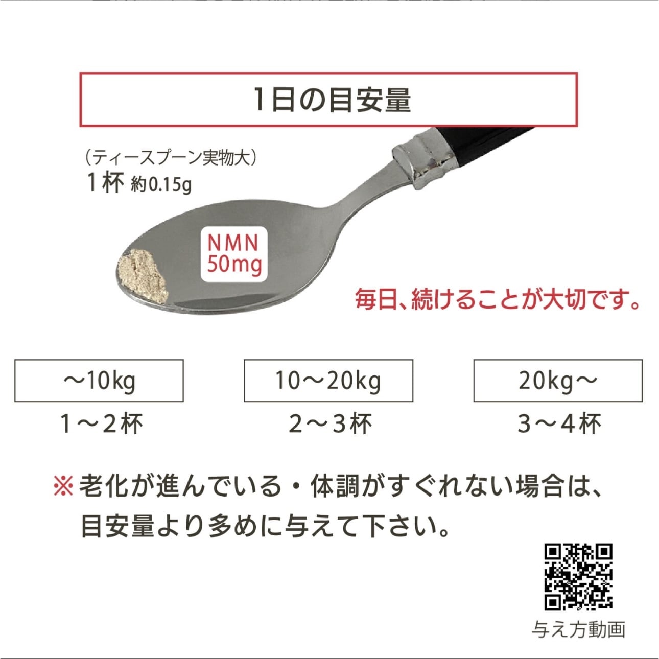 Good 元気だよ | QUEUE DE CHIEN ✂︎