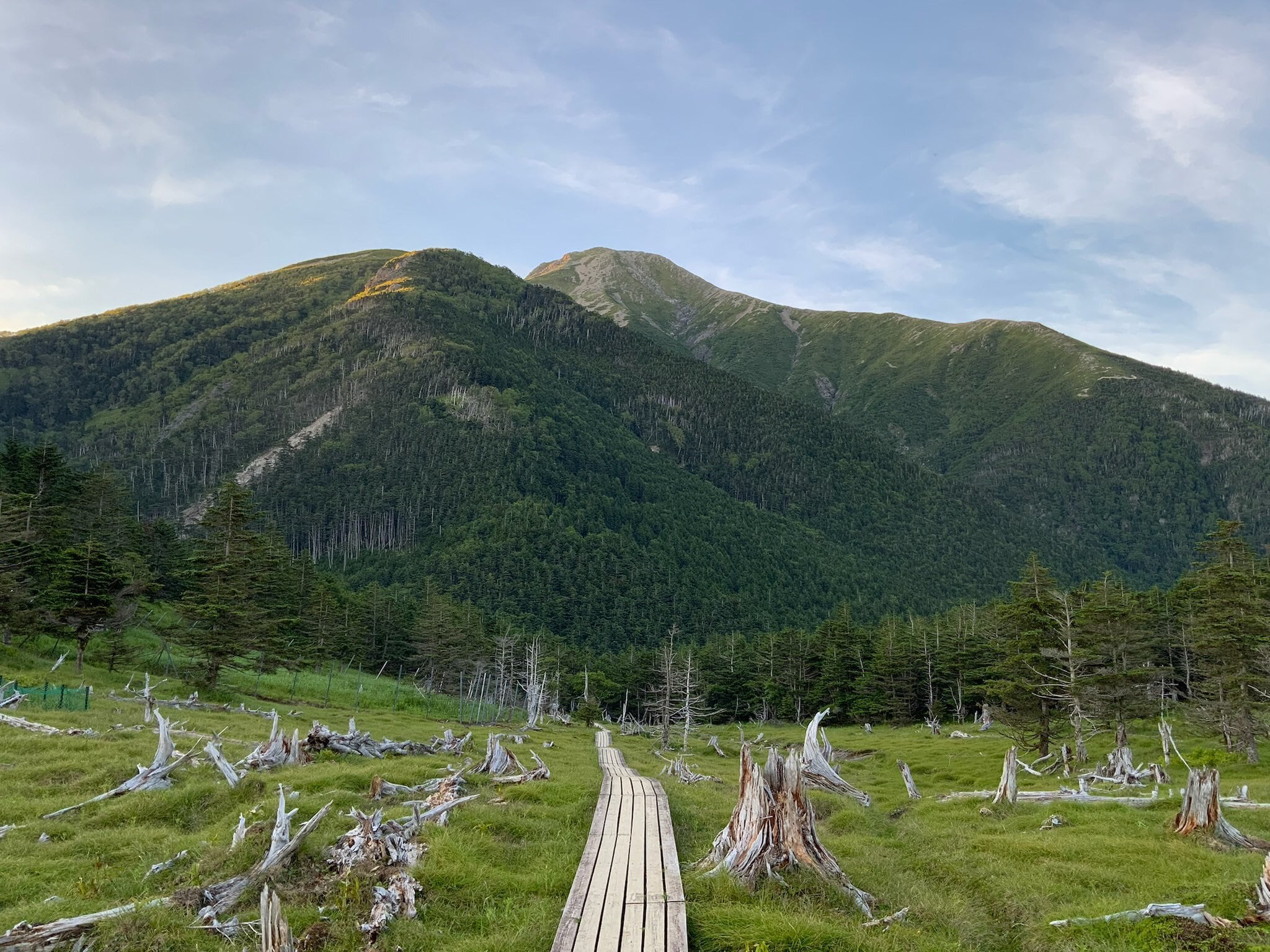 井川蒸溜所 Dessin Series デッサンシリーズ 