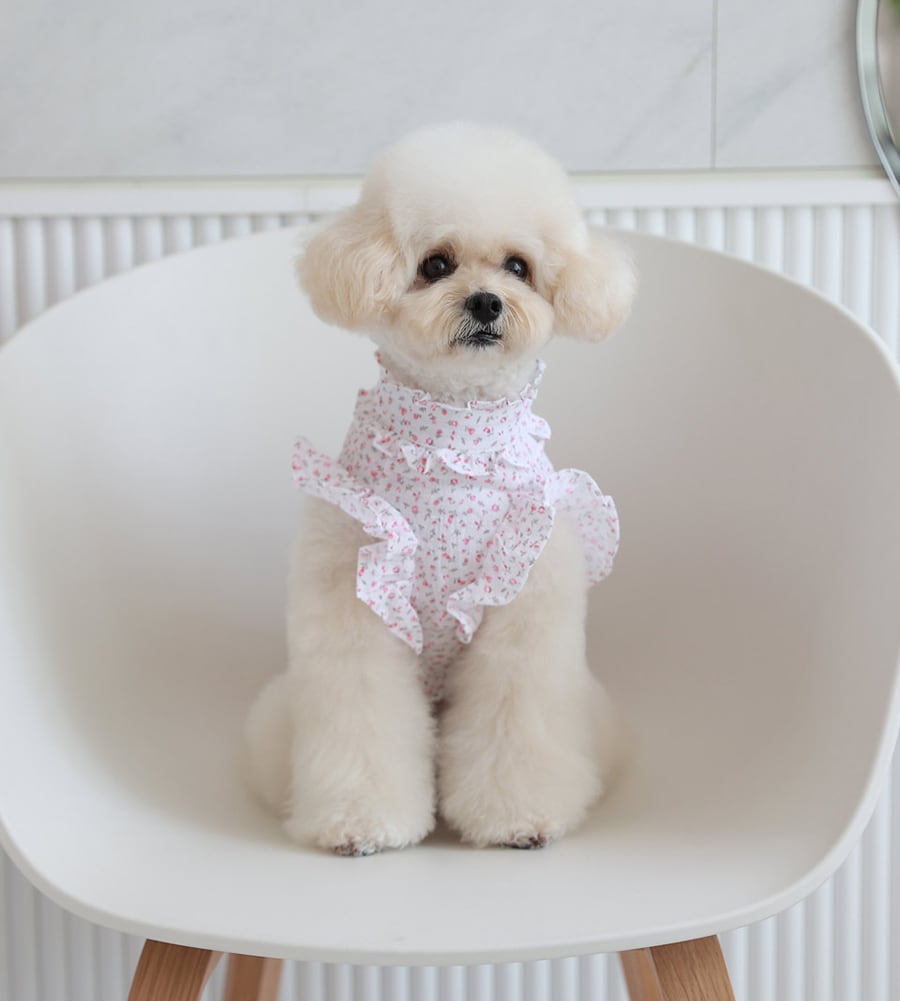 luv flower frill blouses S ~ XL 2color / ドッグウェア 犬服 フリル袖 ブラウス 袖なし 可愛い 犬の服 春夏 新作 花柄 シャツ おしゃれ top160