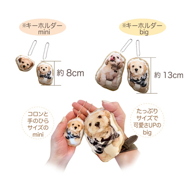 【UCHINOKO_Cushion】Mサイズ