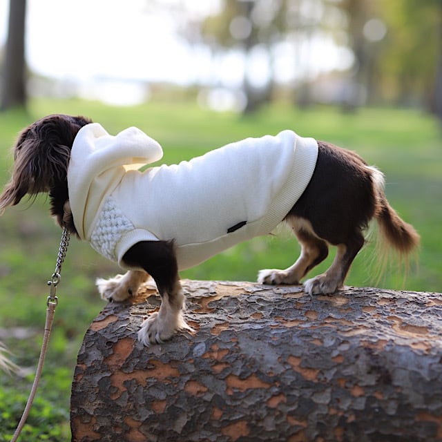 ポップコーンパーカー