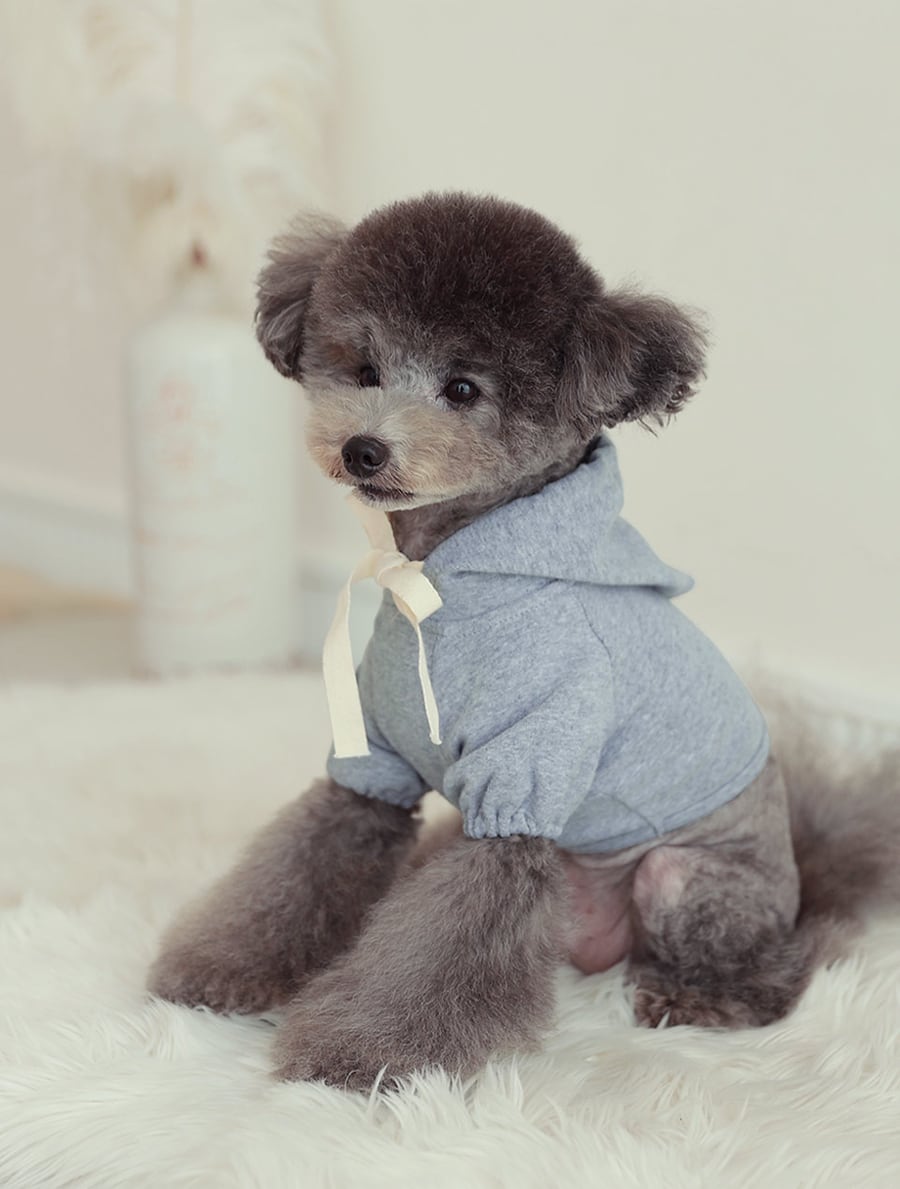 nagrang crop hood S ～ XL 4color / 犬服 秋冬 ショート丈 パーカー フード おパンツカット 無地 シンプル ドッグウェア 小型犬 中型犬 お揃い お出かけ 韓国ワンコ服