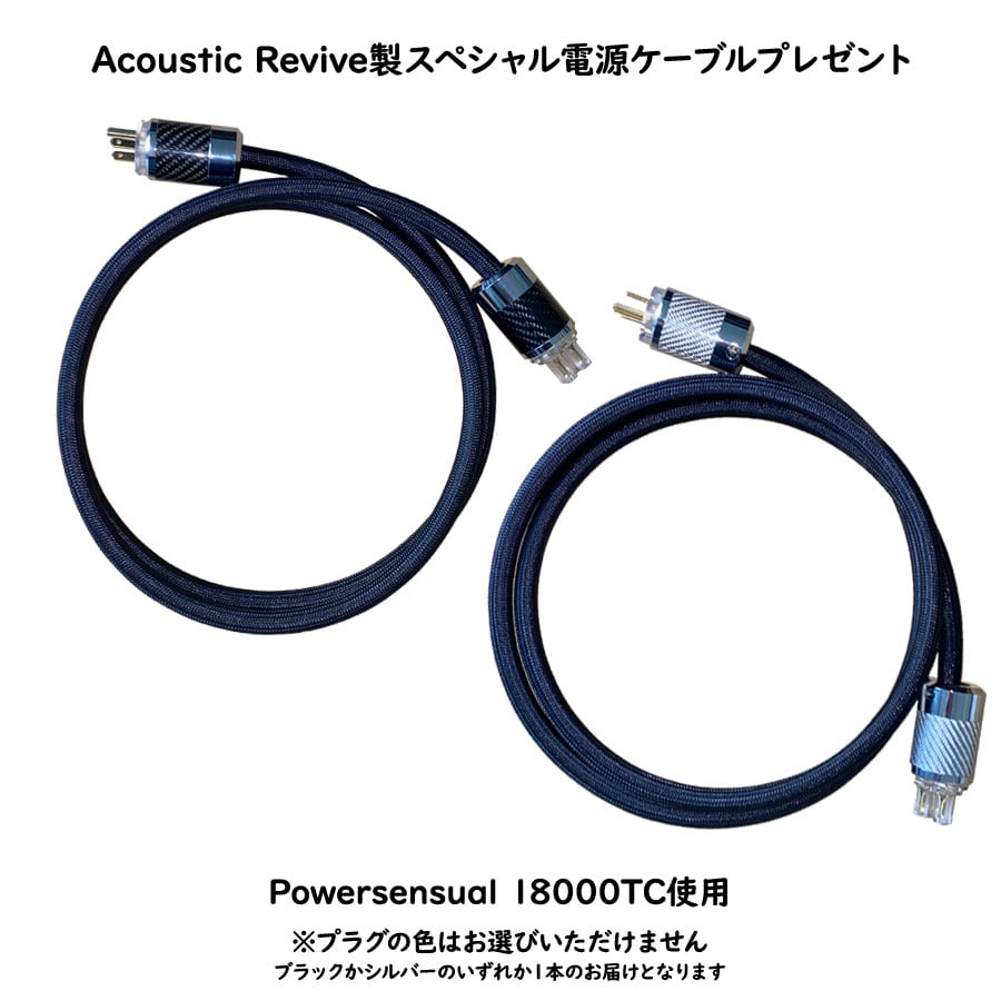 RTP-6Final + TB-38H 特別セット（電源ケーブルプレゼント付）Acoustic Revive【メーカー取寄せ品】 | 極☆自宅試聴EC