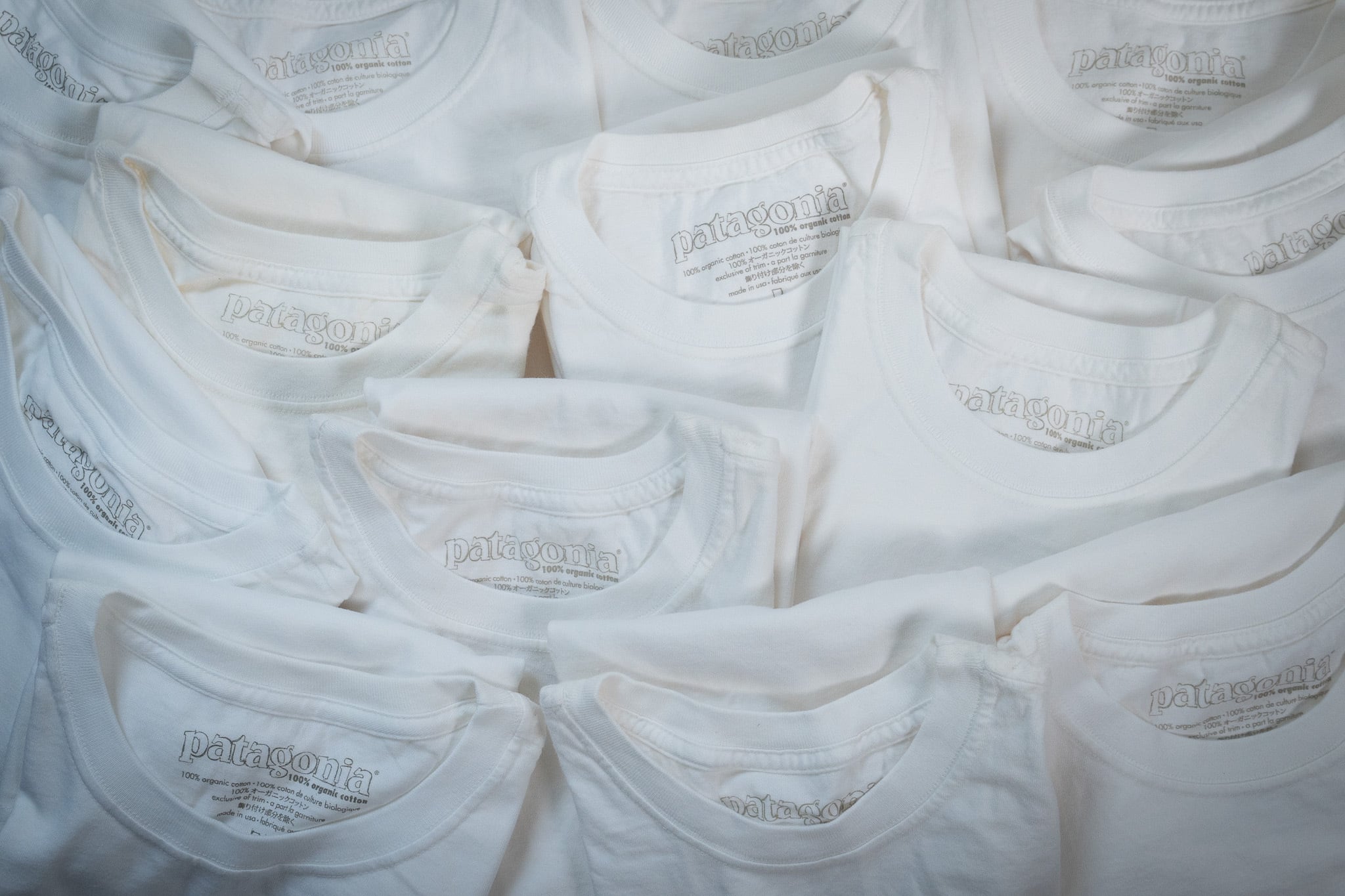 DEADSTOCK】Patagonia Organic Cotton Blank Tee Made In U.S.A. 新品