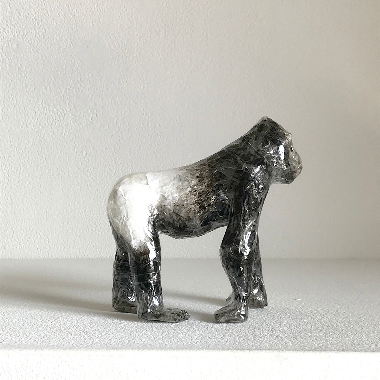 植田 楽さん／#37　ニシローランドゴリラ