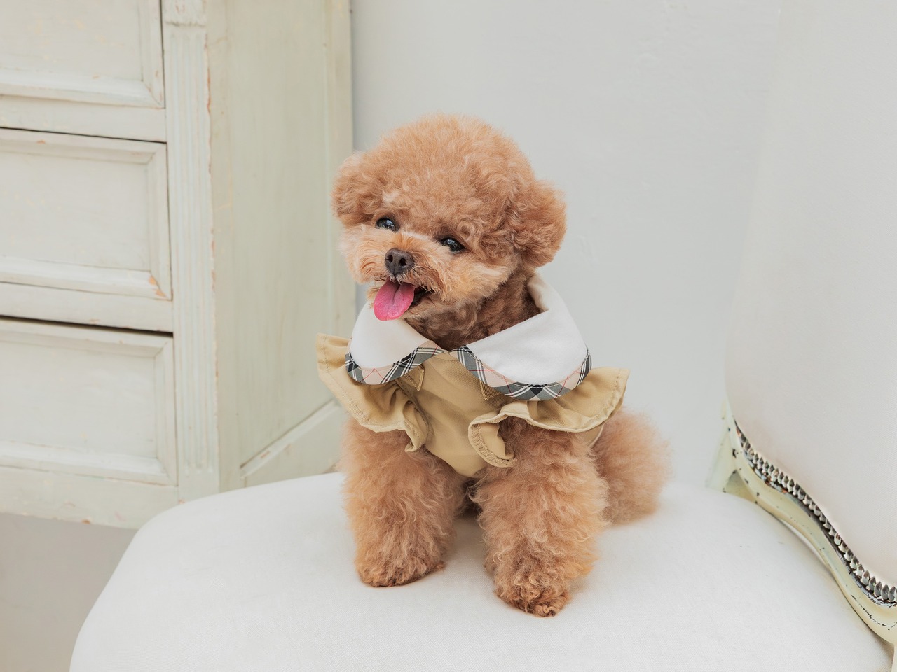 トレンチハーネス