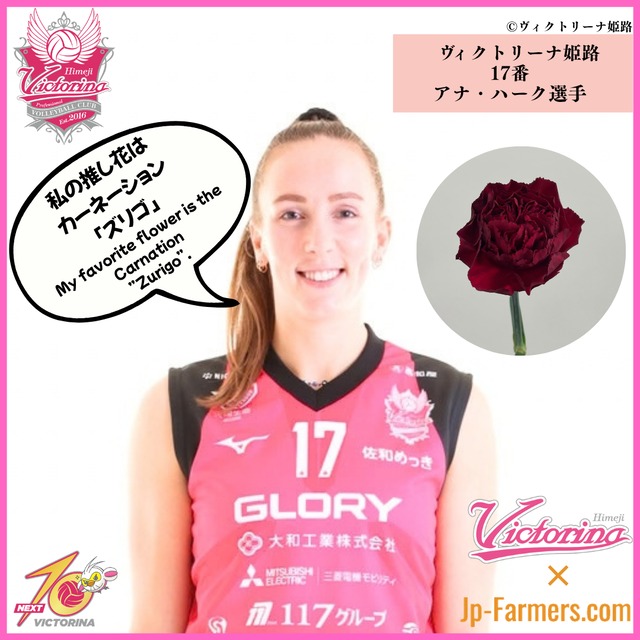 【ヴィクトリーナ姫路応援企画】推し花を贈って応援しよう　アナ・ハーク選手（Anna Haak）のラブフラワーはカーネーション　ズリゴ　 Her favorite flower is the carnation Zurigo.