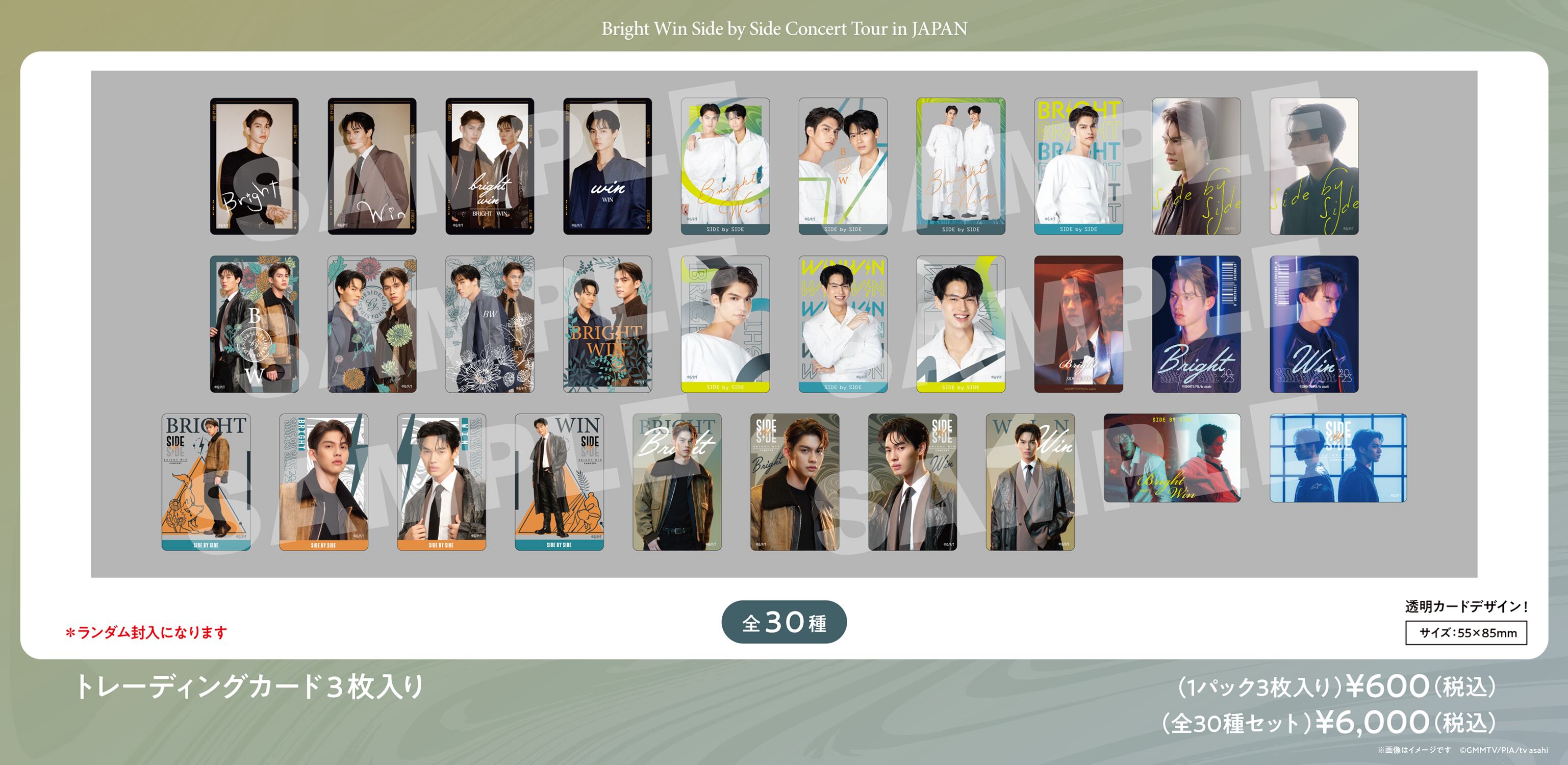 Side by Side Tour in JAPAN GOODS STORE