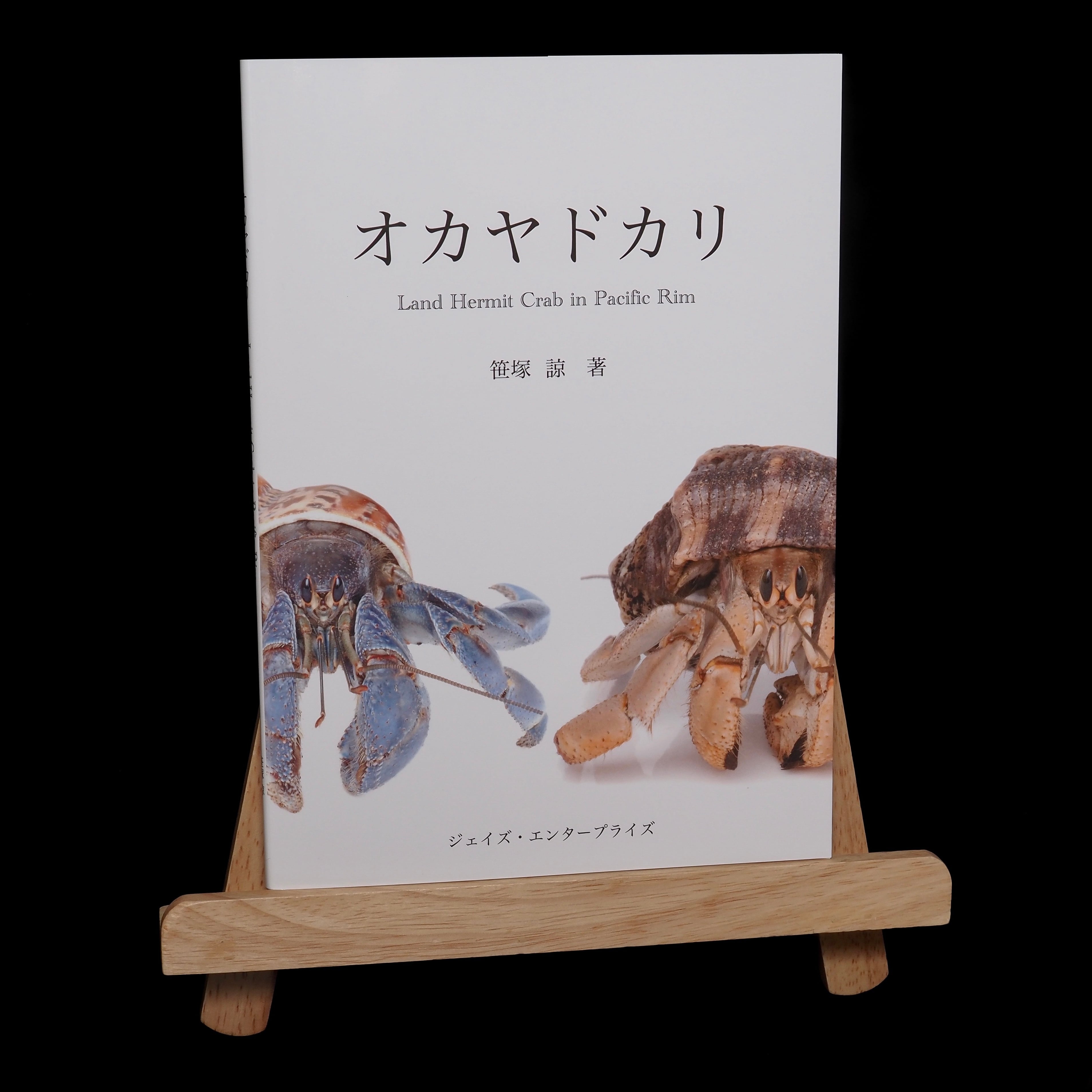 オカヤドカリ Land Hermit Crab in Pacific Rim | One's habitat
