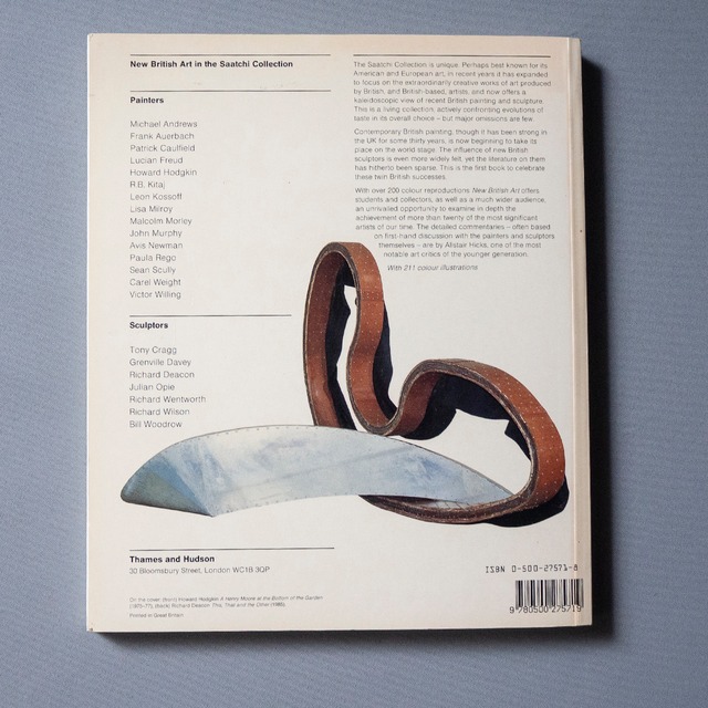 "New British Art in the Saatchi Collection" used Book