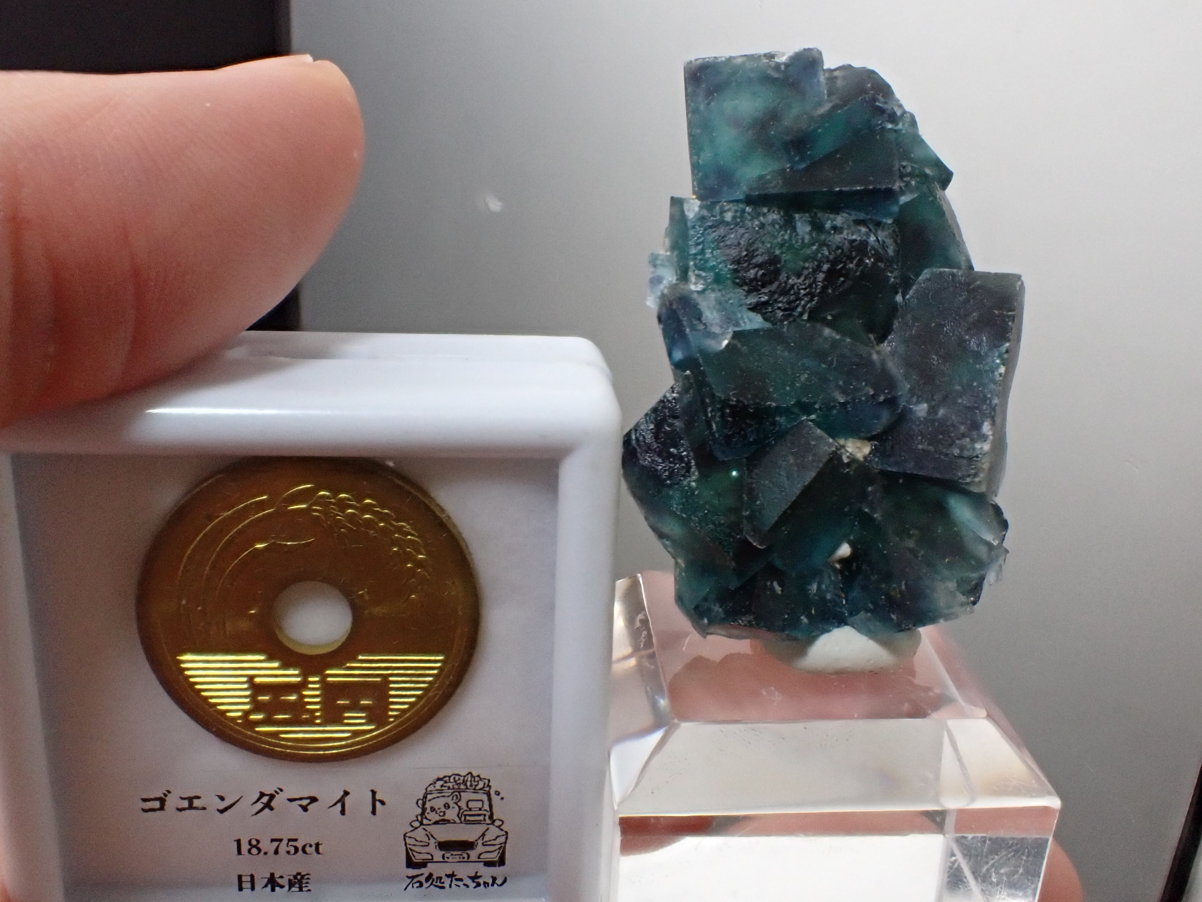 バタフライポケット】フローライト オコルス鉱山 蛍石 原石 標本 | 石