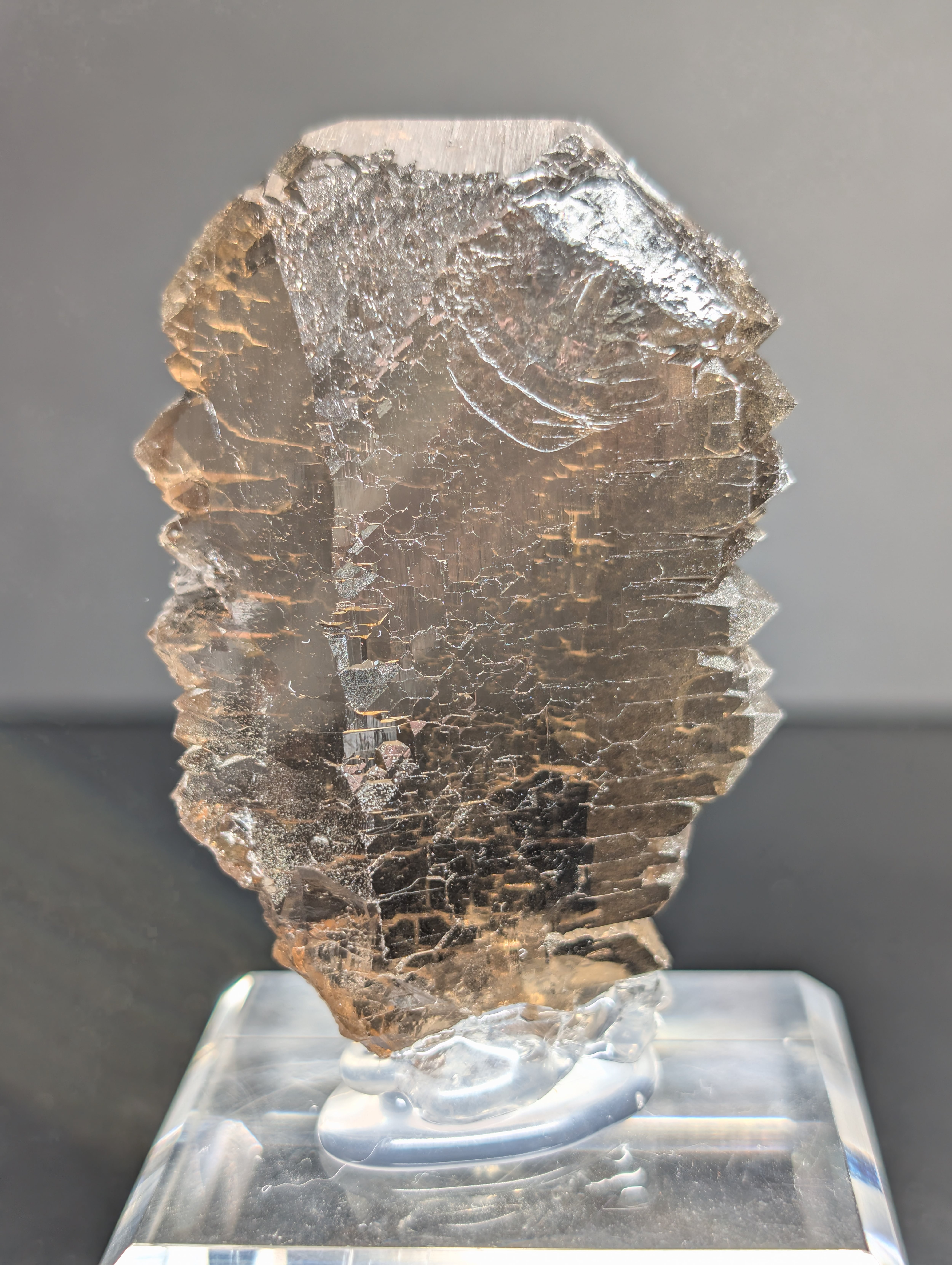 スイスTiefen Glacier アルパインスモーキークォーツ 鉱物標本 スイス Tiefen Glacier アルパインスモーキークォーツ 鉱物標本