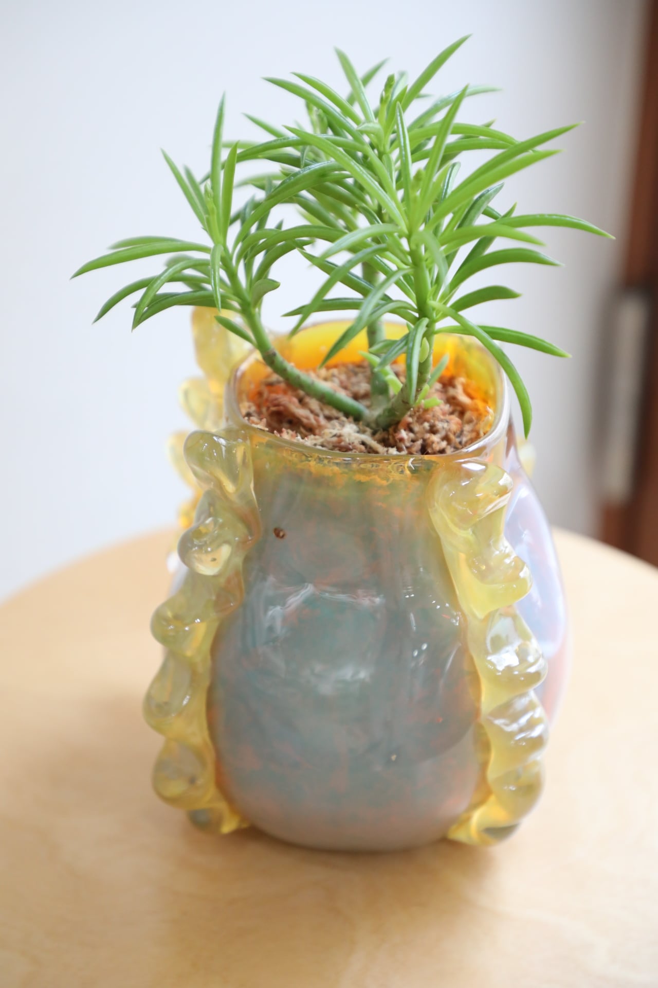 durian】ガラスアーティスト ”Yuri Iwamoto”×翠堂明 コラボ作品