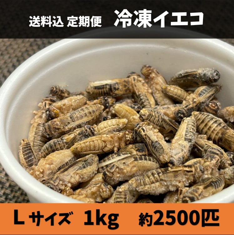 7c364a5f8a64f1cce6caac8630257f