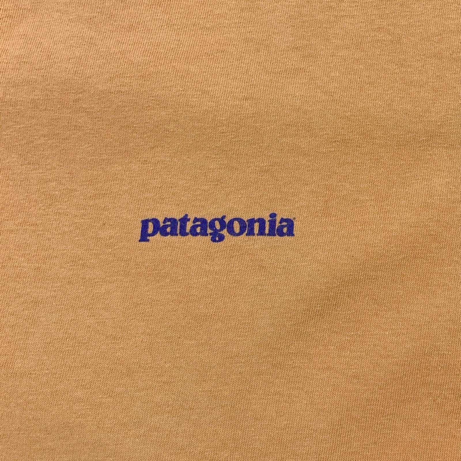 patagonia | パタゴニア 半袖Tシャツ Beneficial T's 波 北斎 USA製