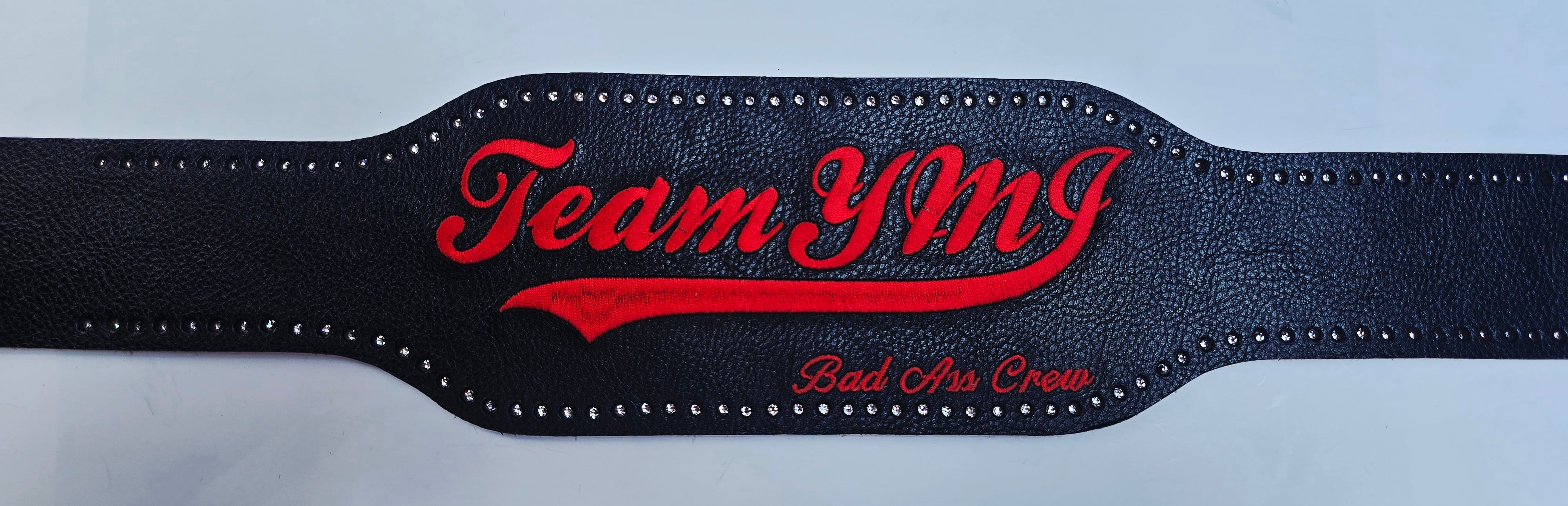 TEAM-YMJ