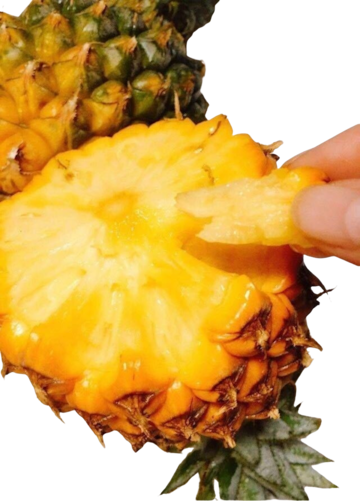 魅惑の果実！沖縄産ブラックサポテ無農薬チョコレートプリンのお味