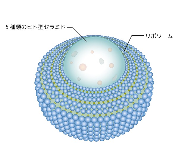 a＋ ブースターエマルション 80ml【導入乳液】