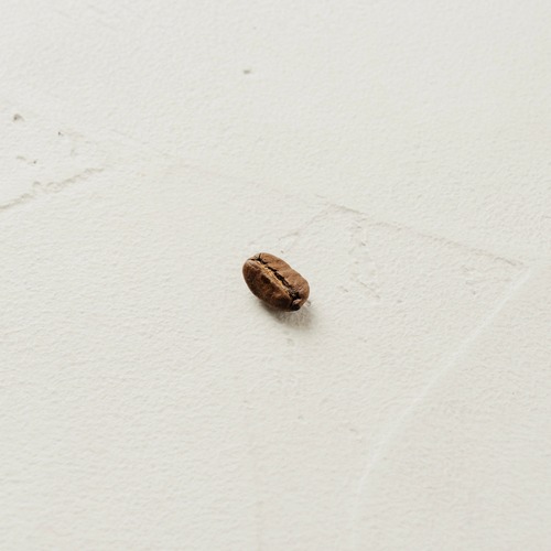 【HONDURAS】ホンジュラス Miguel Angel 農園